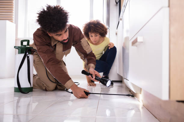 Professional Termite Extermination Services Near You